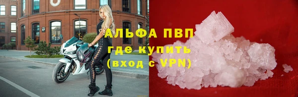 тгк Абаза