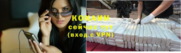тгк Абаза