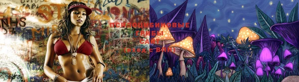 PSILOCYBIN Абинск