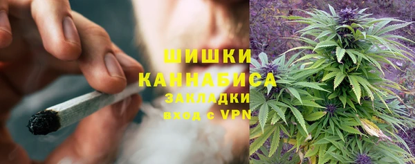тгк Абаза