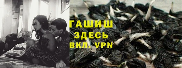 тгк Абаза